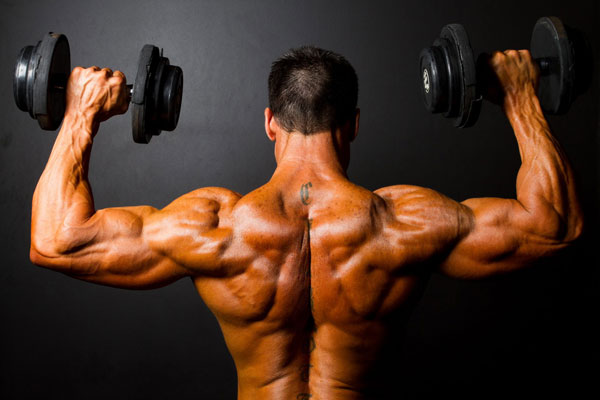 Body building Limbiate